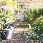 Bed & Breakfast Le Bonheur A La Campagne Lesmont