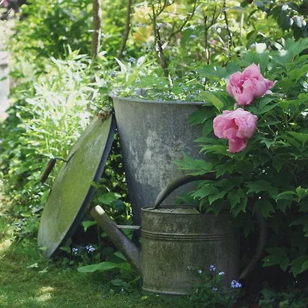 Le Bonheur A La Campagne 3*