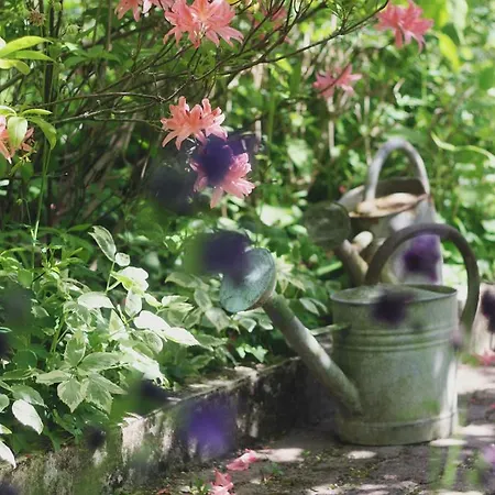 Le Bonheur A La Campagne Bed & Breakfast